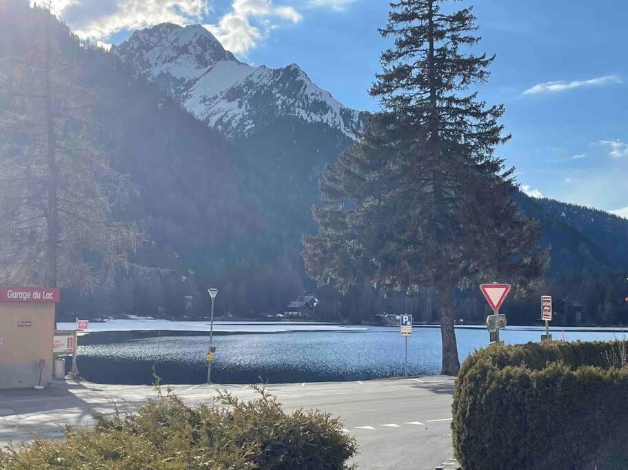 Charmant 2,5 Pieces Avec Jardin A 2 Pas Du Lac Champex-Lac Exteriör bild