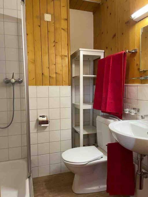 Charmant 2,5 Pieces Avec Jardin A 2 Pas Du Lac Champex-Lac Exteriör bild